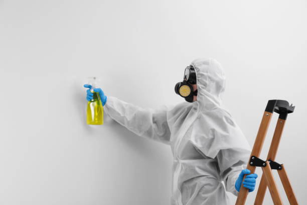 Best Biohazard Mold Removal in West Ack, NY