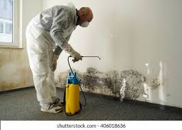 Best Water Damage & Mold Remediation in West Ack, NY